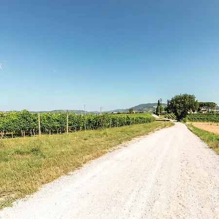 Cozy In Pg 아파트 *